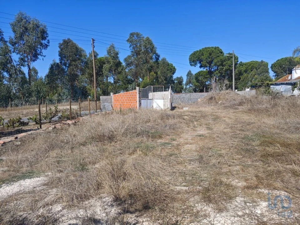 Terreno para Venda em Coruche, Fajarda e Erra Foto 10