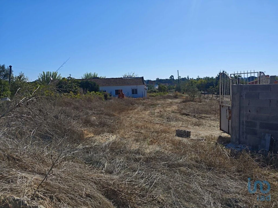 Terreno para Venda em Coruche, Fajarda e Erra Foto 9