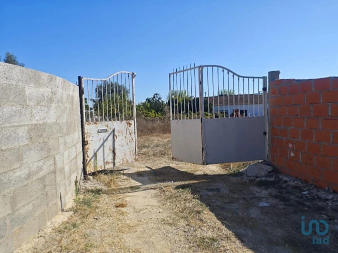 Terreno para Venda em Coruche, Fajarda e Erra Foto 3