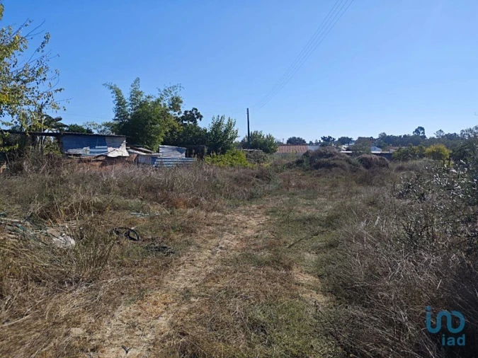 Terreno para Venda em Coruche, Fajarda e Erra Foto 6