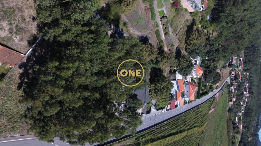 Terreno para Venda em Lemenhe, Mouquim e Jesufrei Foto 2