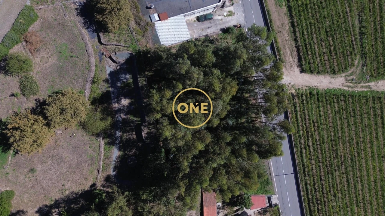 Terreno para Venda em Lemenhe, Mouquim e Jesufrei Foto 1