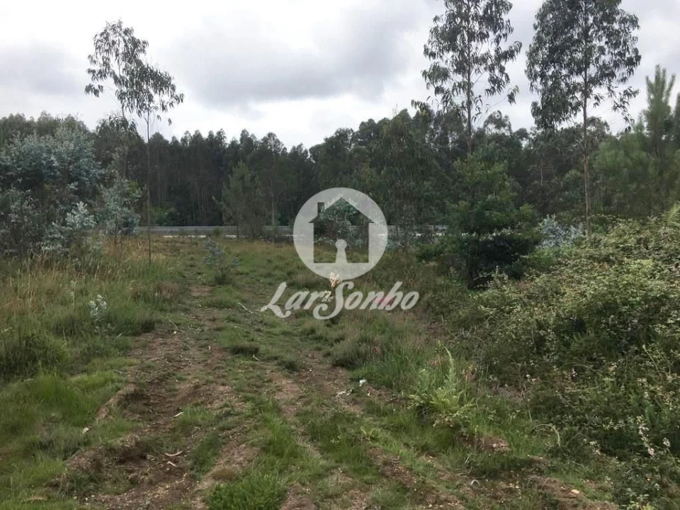 Terreno Agricola ou Rústico para Venda em Coronado (São Romão e São Mamede) Foto 5