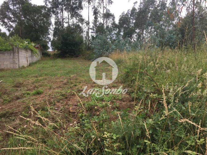 Terreno Agricola ou Rústico para Venda em Coronado (São Romão e São Mamede) Foto 1