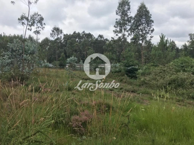 Terreno Agricola ou Rústico para Venda em Coronado (São Romão e São Mamede) Foto 3