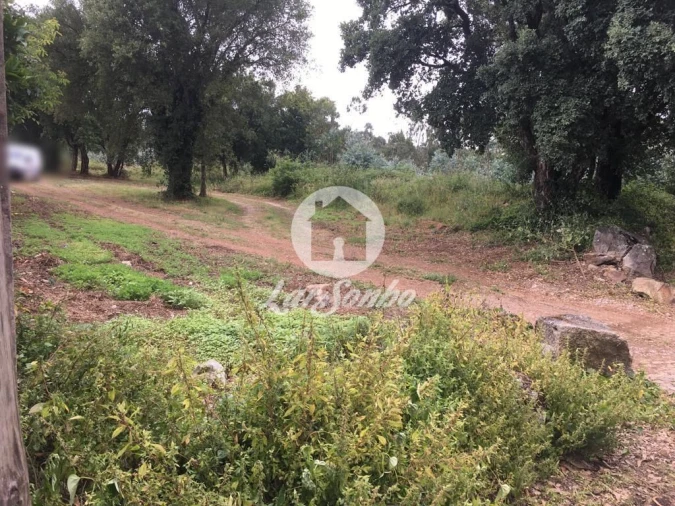 Terreno Agricola ou Rústico para Venda em Coronado (São Romão e São Mamede) Foto 2