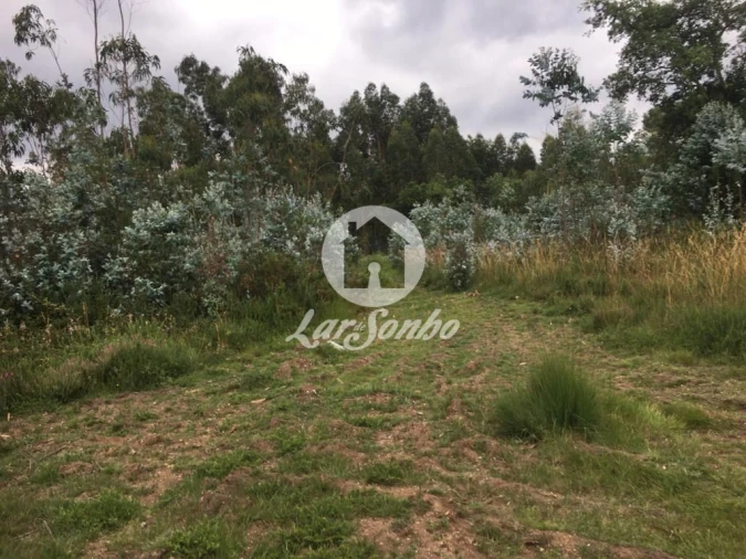 Terreno Agricola ou Rústico para Venda em Coronado (São Romão e São Mamede) Foto 4