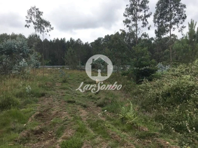 Terreno Agricola ou Rústico para Venda em Coronado (São Romão e São Mamede) Foto 5