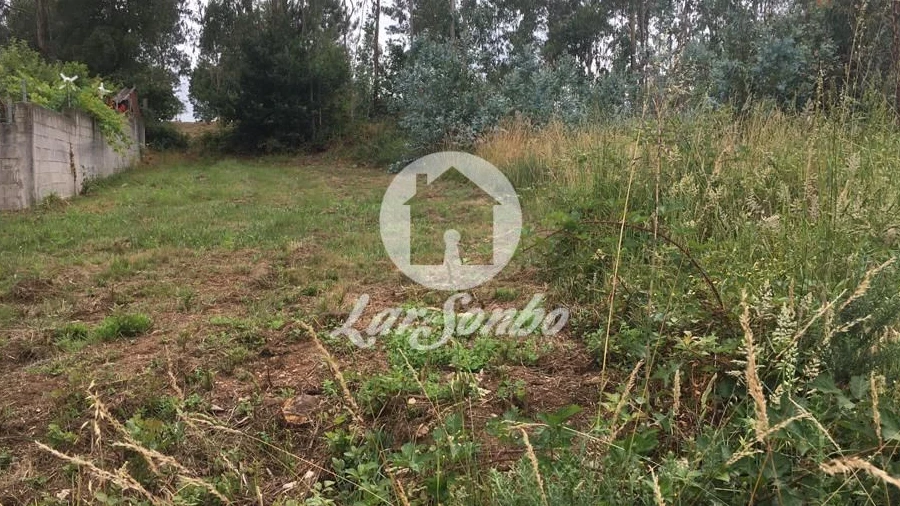 Terreno Agricola ou Rústico para Venda em Coronado (São Romão e São Mamede)