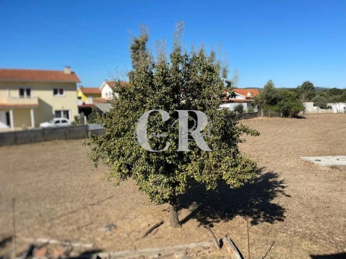 Quinta T5 para Venda em Lousã e Vilarinho Foto 36