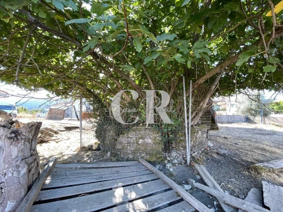 Quinta T5 para Venda em Lousã e Vilarinho Foto 35