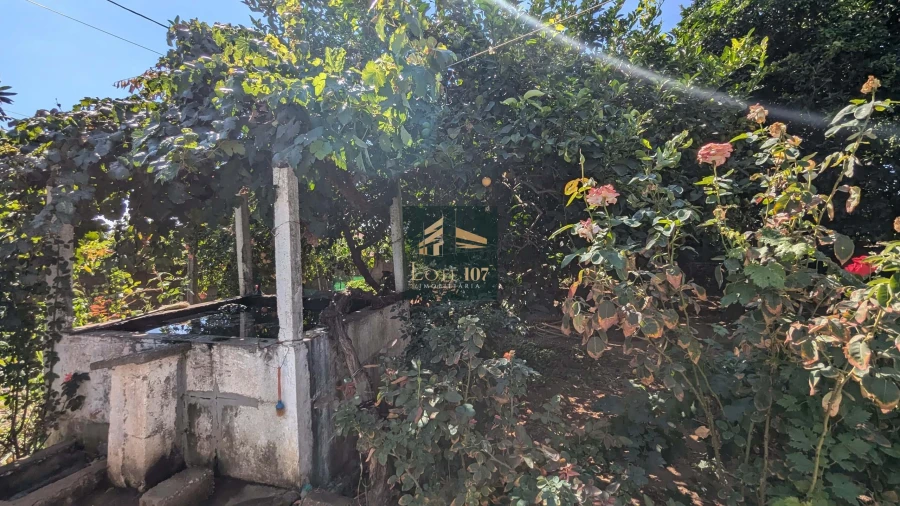 Moradia T3 para Venda em Alvalade Foto 53