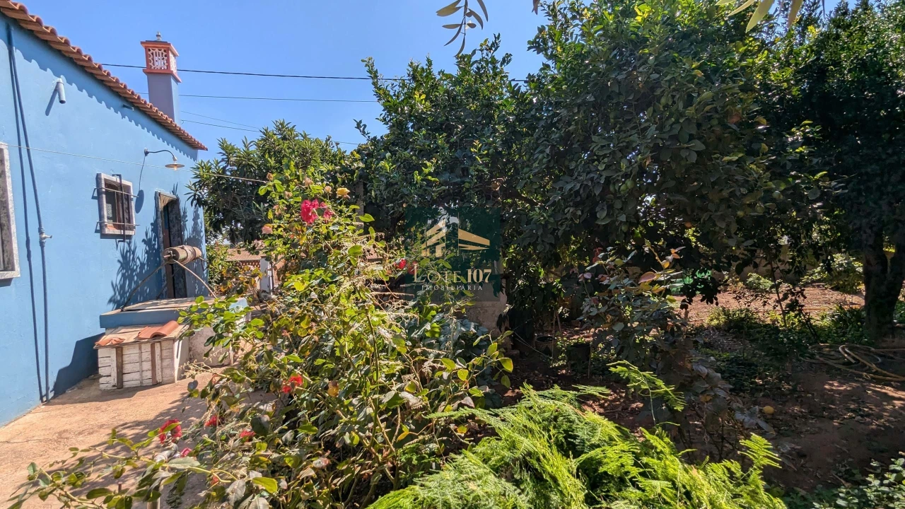 Moradia T3 para Venda em Alvalade Foto 48