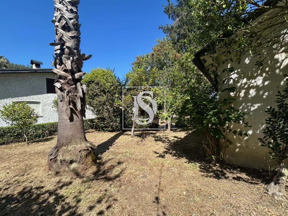 Moradia T3 para Venda em Mortágua, Vale de Remígio, Cortegaça e Almaça Foto 42