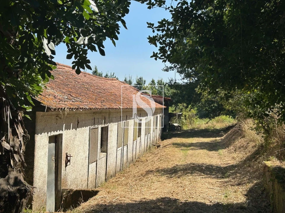 Moradia T3 para Venda em Mortágua, Vale de Remígio, Cortegaça e Almaça Foto 62