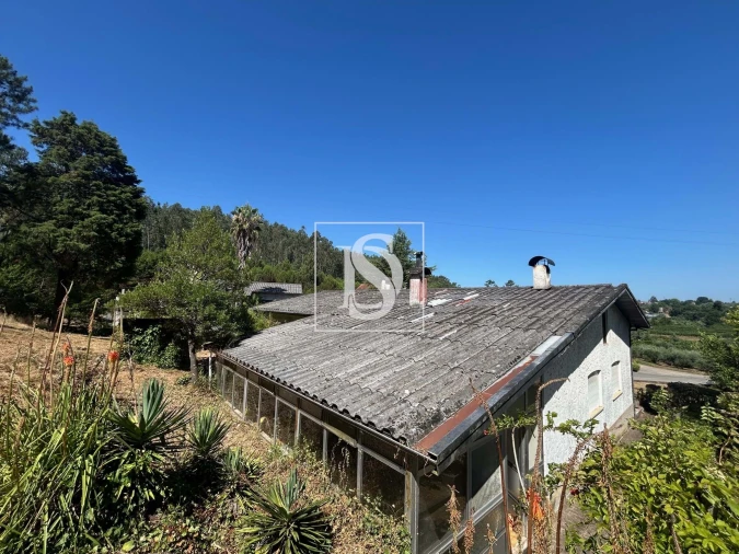 Moradia T3 para Venda em Mortágua, Vale de Remígio, Cortegaça e Almaça Foto 16