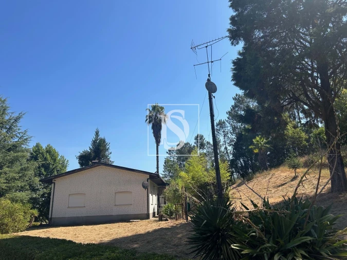 Moradia T3 para Venda em Mortágua, Vale de Remígio, Cortegaça e Almaça Foto 7