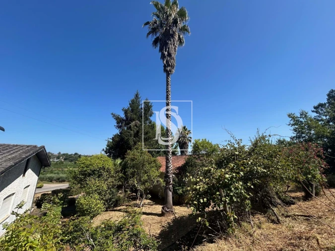 Moradia T3 para Venda em Mortágua, Vale de Remígio, Cortegaça e Almaça Foto 15