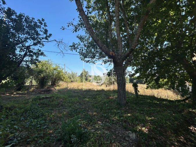 Moradia T3 para Venda em Mortágua, Vale de Remígio, Cortegaça e Almaça Foto 64