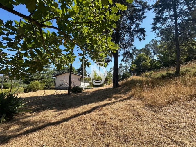 Moradia T3 para Venda em Mortágua, Vale de Remígio, Cortegaça e Almaça Foto 11