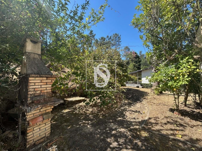 Moradia T3 para Venda em Mortágua, Vale de Remígio, Cortegaça e Almaça Foto 45