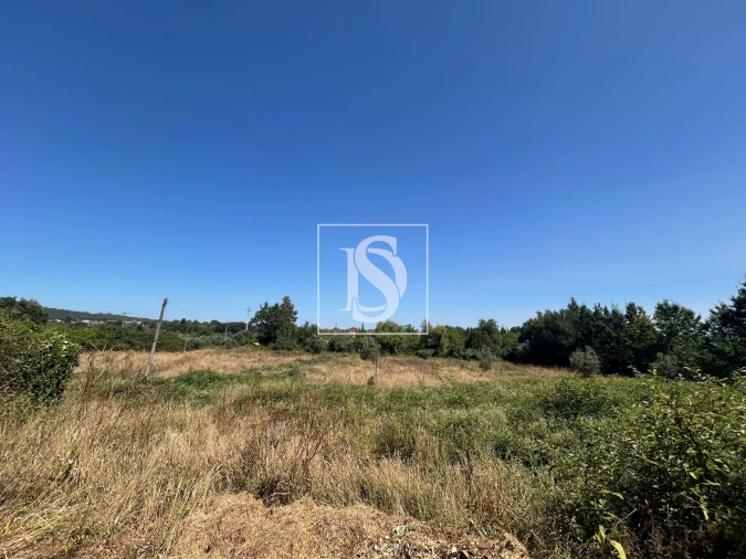 Moradia T3 para Venda em Mortágua, Vale de Remígio, Cortegaça e Almaça Foto 58