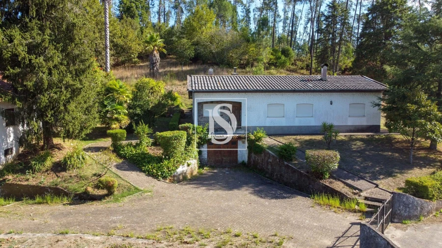 Moradia T3 para Venda em Mortágua, Vale de Remígio, Cortegaça e Almaça Foto 69