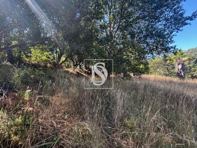 Moradia T3 para Venda em Mortágua, Vale de Remígio, Cortegaça e Almaça Foto 51