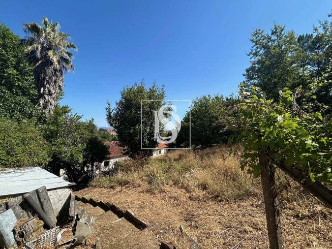 Moradia T3 para Venda em Mortágua, Vale de Remígio, Cortegaça e Almaça Foto 44