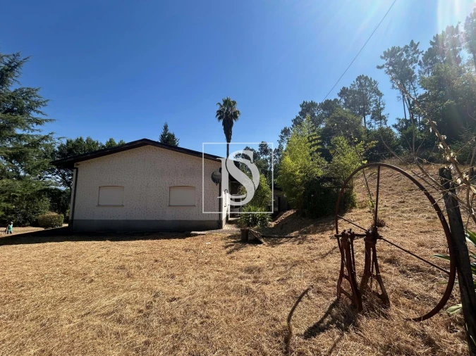 Moradia T3 para Venda em Mortágua, Vale de Remígio, Cortegaça e Almaça Foto 12