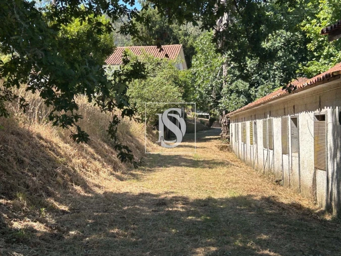 Moradia T3 para Venda em Mortágua, Vale de Remígio, Cortegaça e Almaça Foto 61