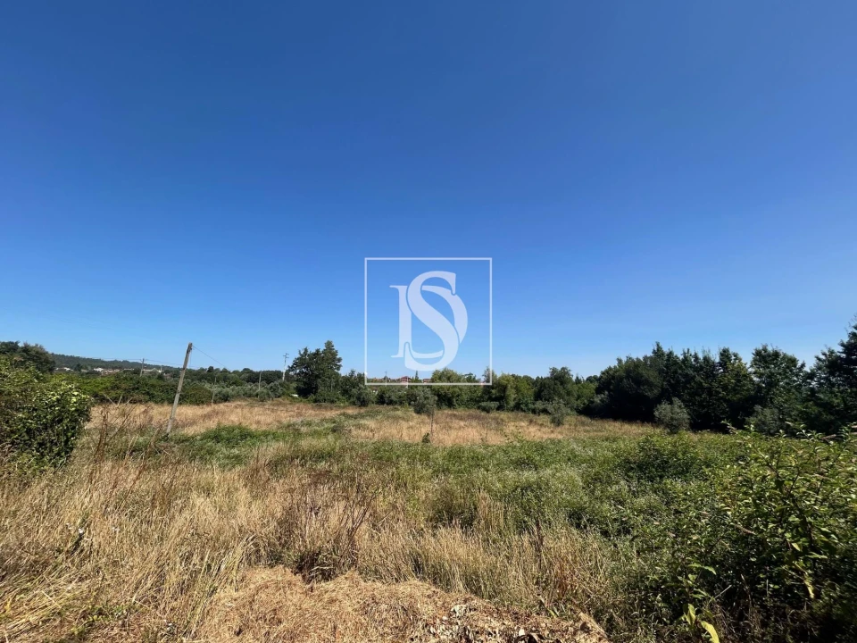 Moradia T3 para Venda em Mortágua, Vale de Remígio, Cortegaça e Almaça Foto 58