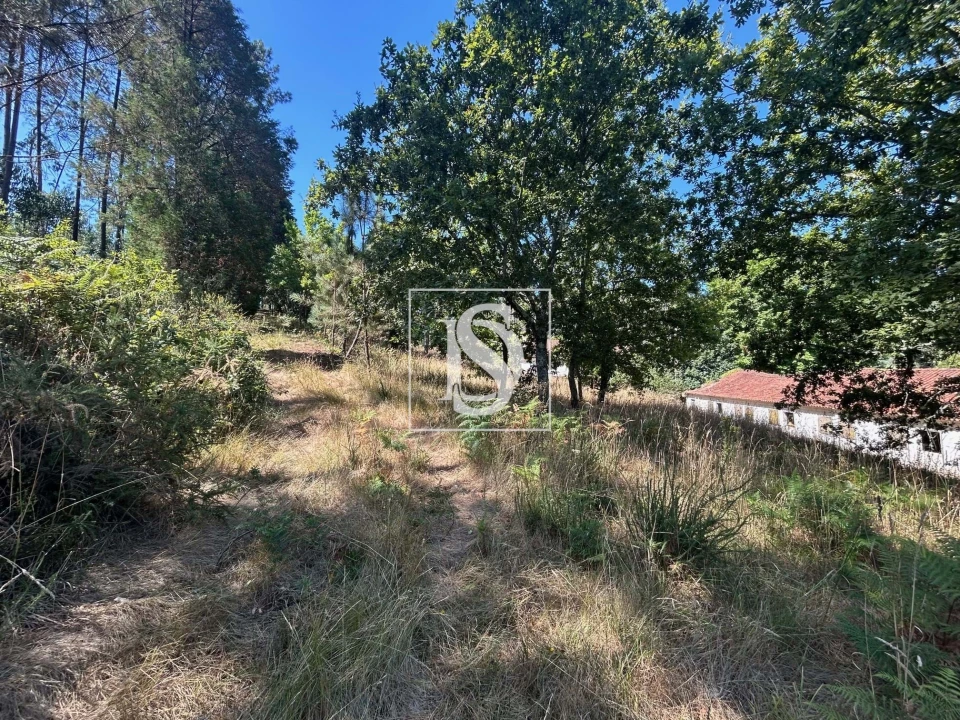 Moradia T3 para Venda em Mortágua, Vale de Remígio, Cortegaça e Almaça Foto 55