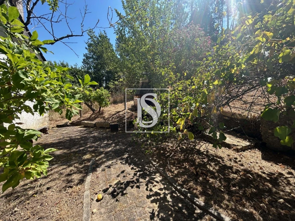 Moradia T3 para Venda em Mortágua, Vale de Remígio, Cortegaça e Almaça Foto 43