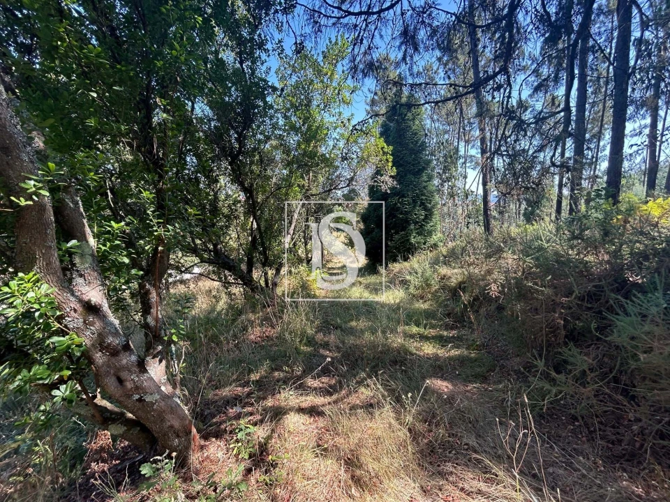Moradia T3 para Venda em Mortágua, Vale de Remígio, Cortegaça e Almaça Foto 53