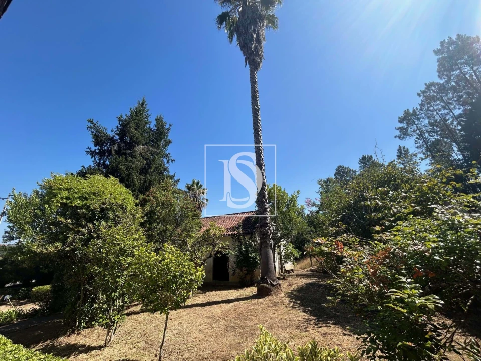 Moradia T3 para Venda em Mortágua, Vale de Remígio, Cortegaça e Almaça Foto 14