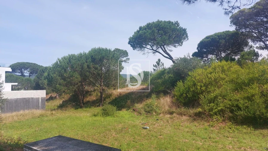 Terreno para Venda em Darque Foto 7