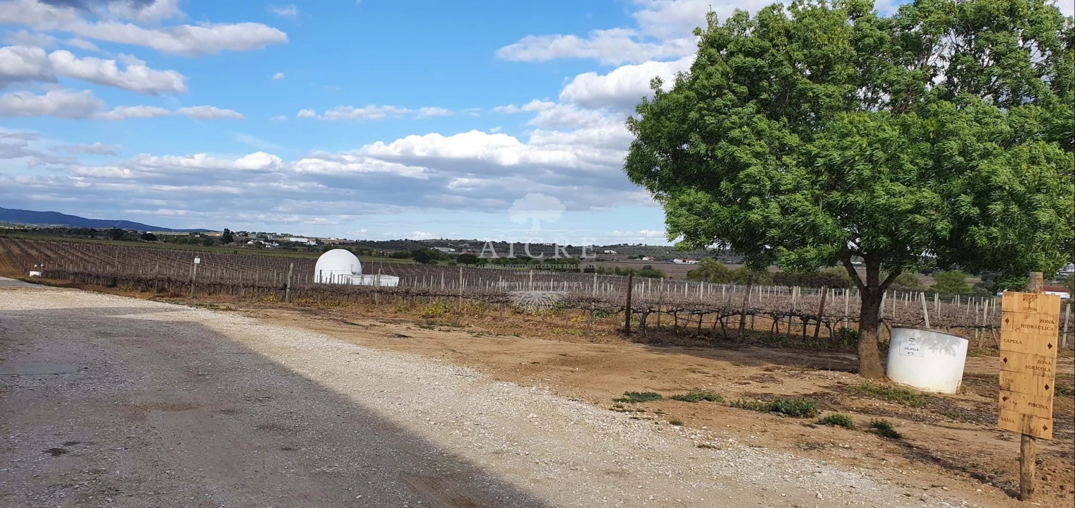 Quinta para Venda em Redondo Foto 18