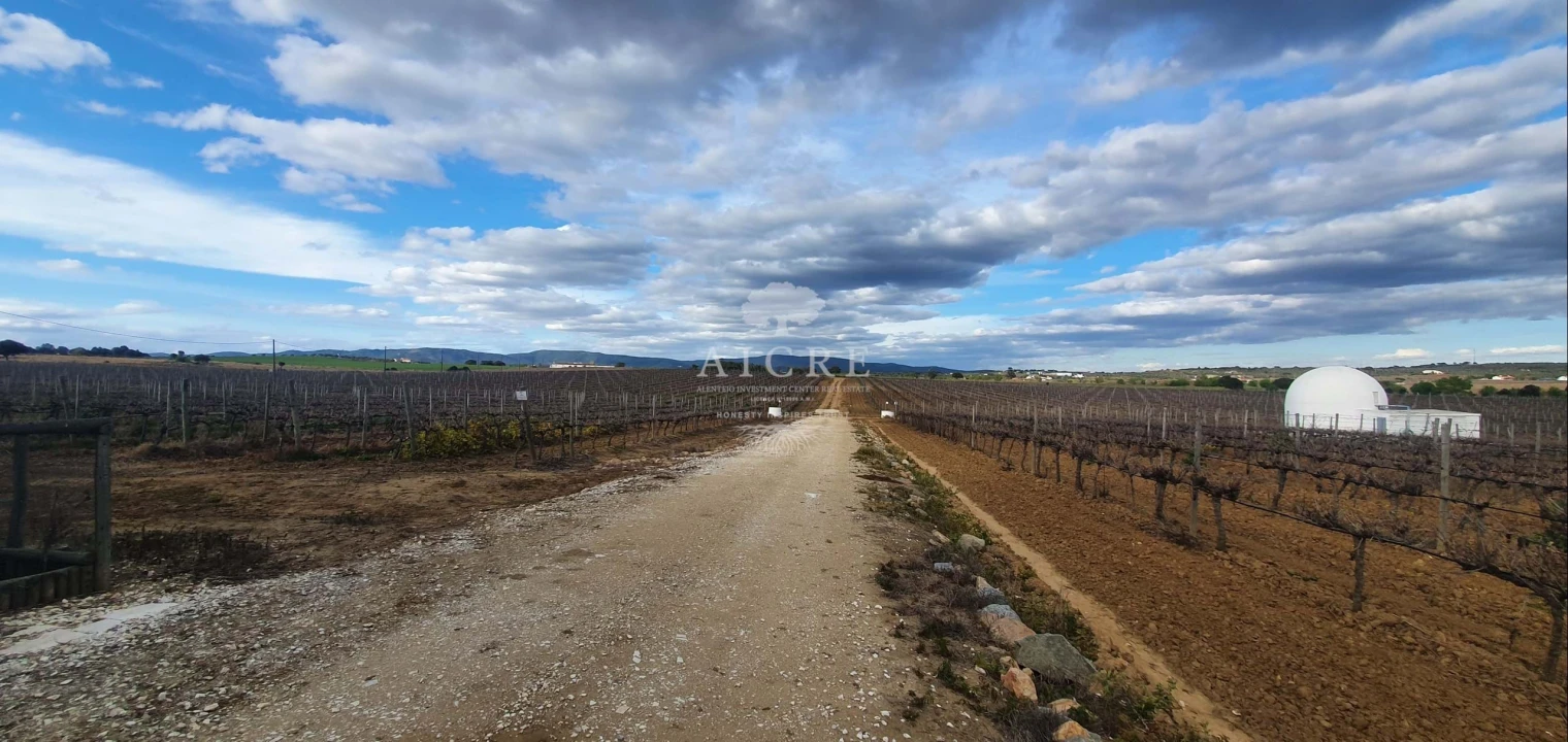 Quinta para Venda em Redondo Foto 26