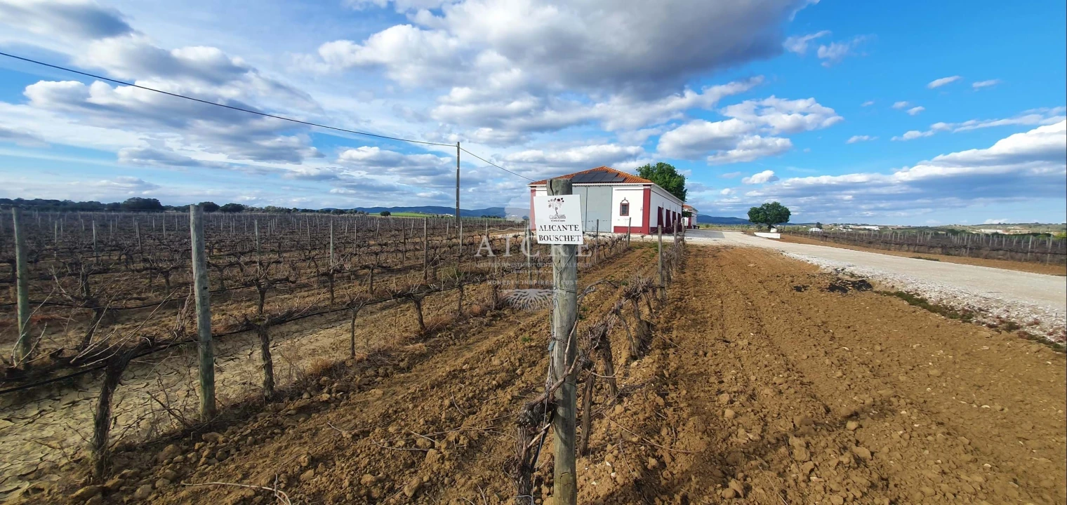 Quinta para Venda em Redondo Foto 13