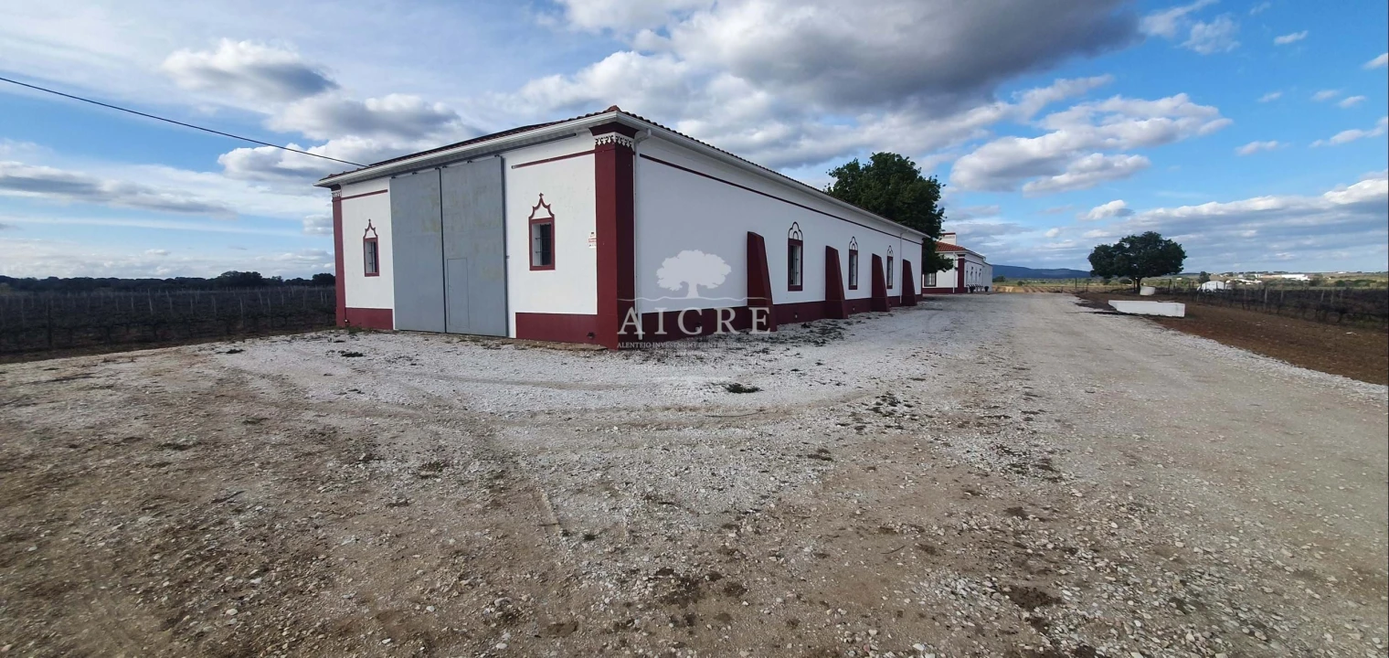 Quinta para Venda em Redondo Foto 14