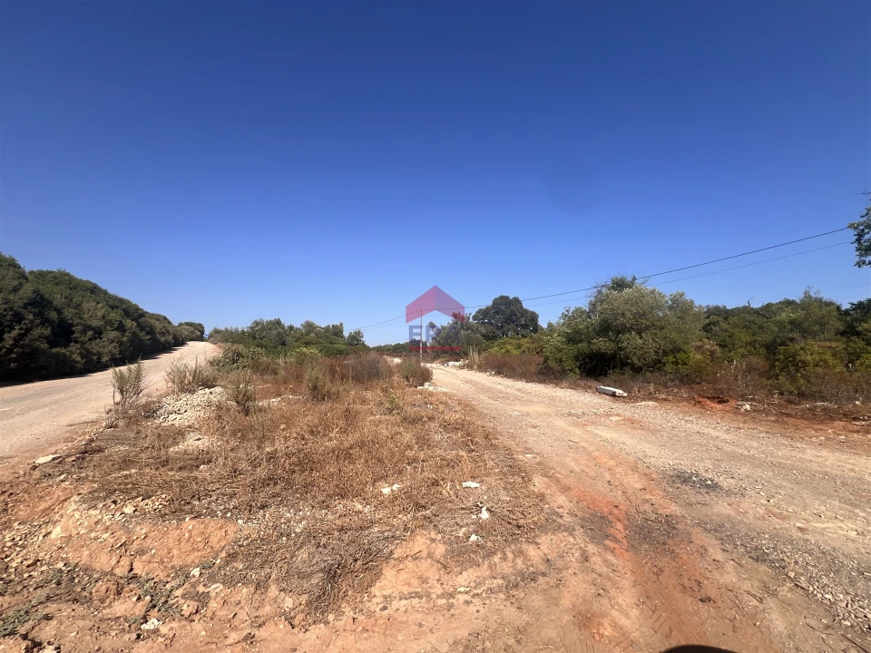 Terreno Agricola ou Rústico para Venda em Luz de Tavira e Santo Estêvão Foto 10