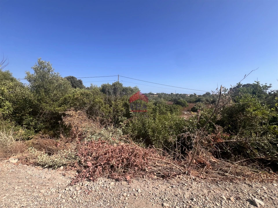Terreno Agricola ou Rústico para Venda em Luz de Tavira e Santo Estêvão Foto 7