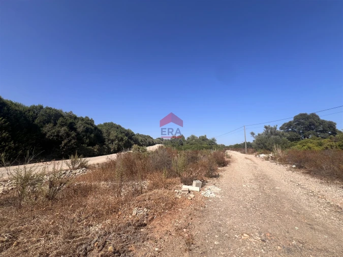 Terreno Agricola ou Rústico para Venda em Luz de Tavira e Santo Estêvão Foto 12