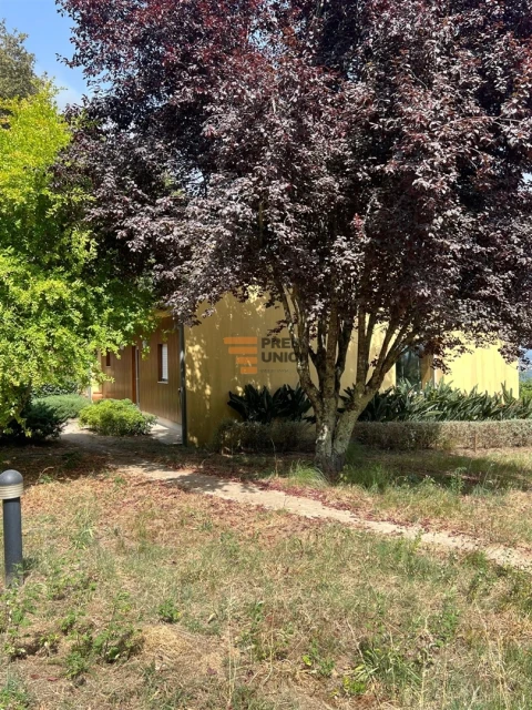 Moradia T2 para Arrendamento em Carvalhosa