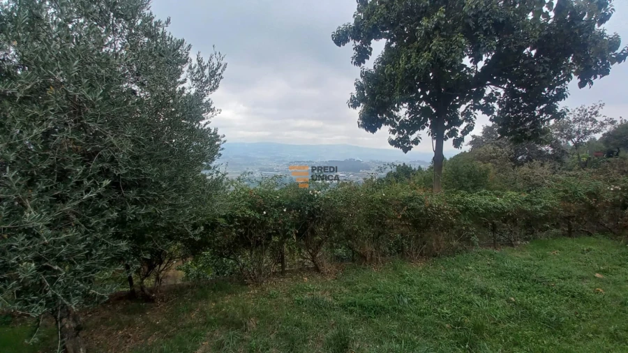 Moradia T2 para Arrendamento em Carvalhosa Foto 7