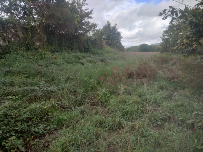 Quinta T3 para Venda em Nespereira e Casais Foto 9