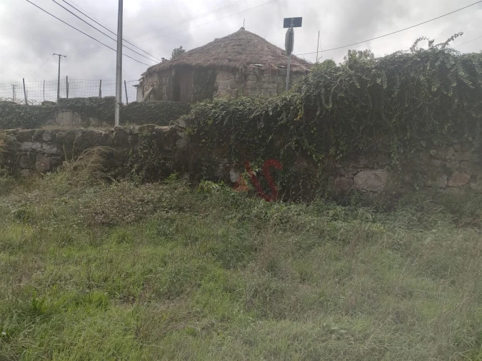 Quinta T3 para Venda em Nespereira e Casais Foto 7