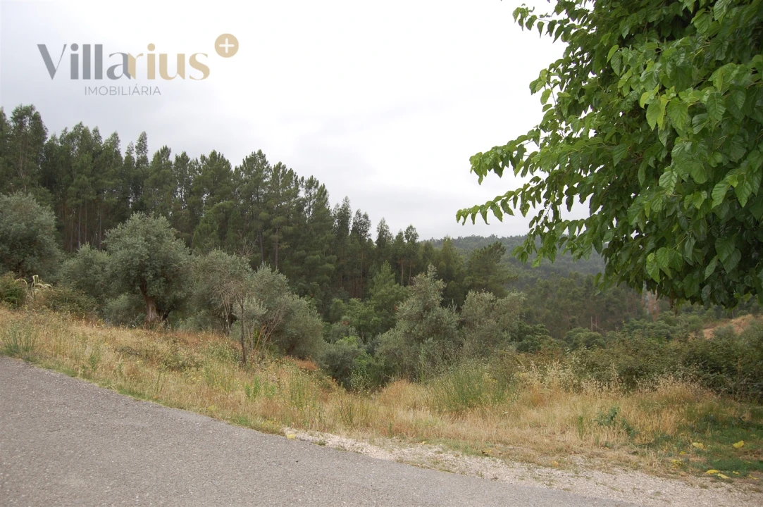 Terreno para Venda em Olalhas Foto 6