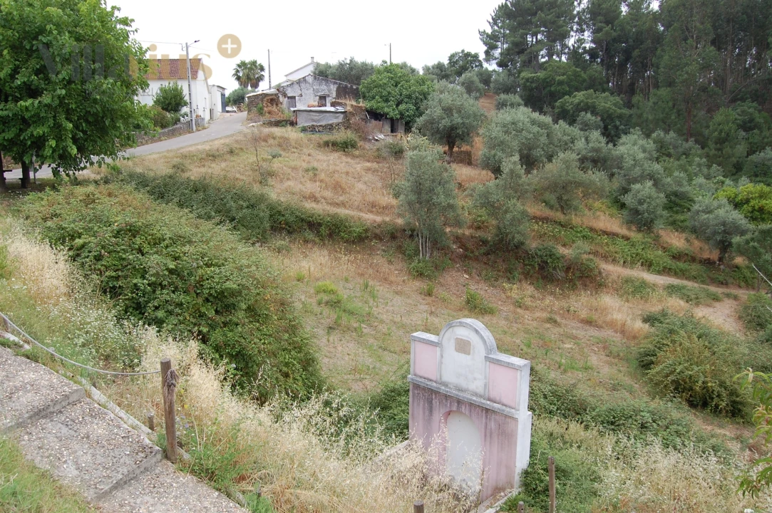 Terreno para Venda em Olalhas Foto 5